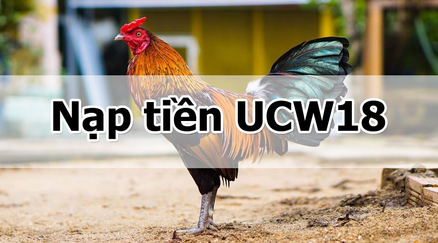 UCW18 - Đánh giá mức độ an toàn và uy tín của nhà cái UCW18 - Ảnh 3