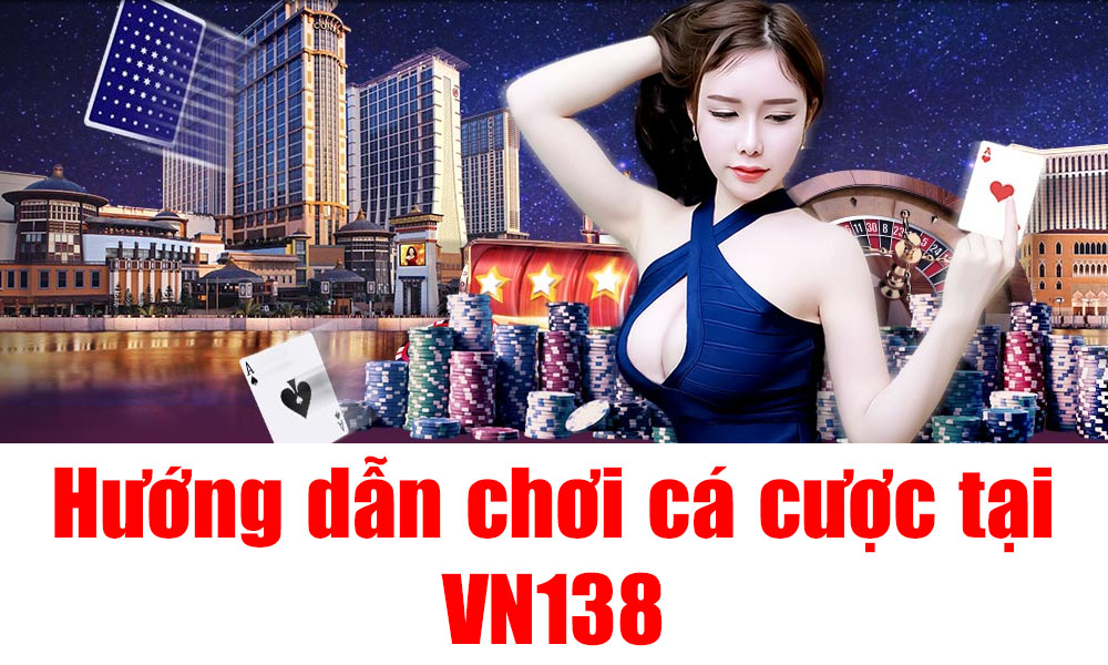 VN138, nhà cái đá gà, thể thao hàng đầu Việt Nam - Ảnh 5