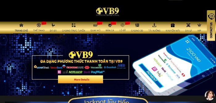 Vuabai9 - Nhà cái cá cược trực tuyến ở nước ta - Ảnh 3